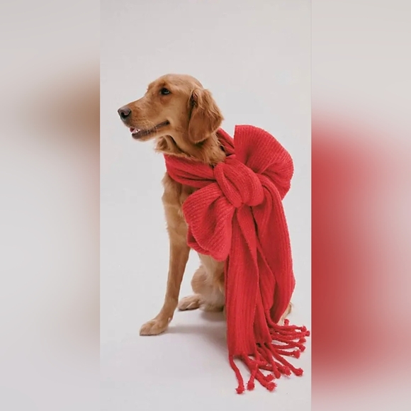 Free People Hit The Ground Red Scarf NWT - Picture 9 of 12